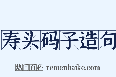 寿头码子造句是什么意思的图片